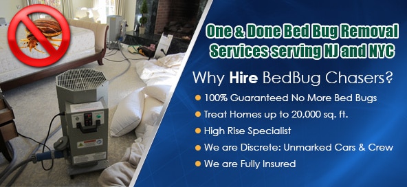 Chemical-Free Bed Bug Treatment in New Jersey, How to Get Rid of Bed Bugs in New Jersey, Bed Bug Heat Treatment in New Jersey
