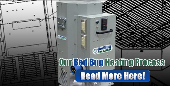 Chemical-Free Bed Bug Treatment in New Jersey, How to Get Rid of Bed Bugs in New Jersey, Bed Bug Heat Treatment in New Jersey