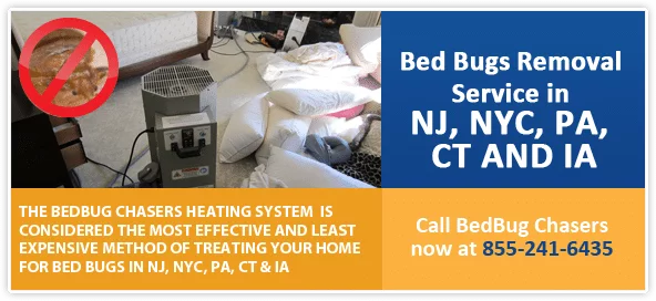 Bed Bug pictures NJ, Bed Bug treatment NJ, Bed Bug heat NJ