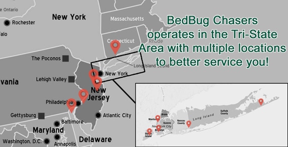 Bed Bug bites Morristown NJ, Bed Bug spray Morristown NJ, hypoallergenic Bed Bug treatments Morristown NJ