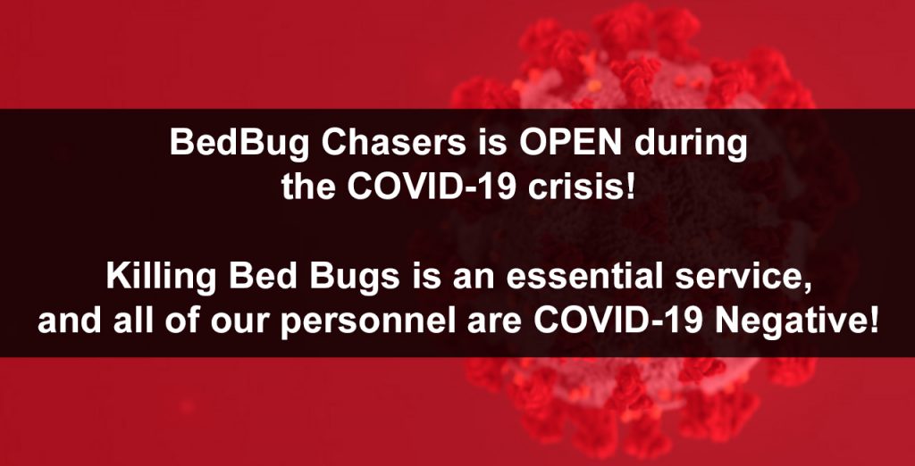 COVID-19 NJ, Coronavirus New Jersey, Non-toxic Bed Bug treatment NJ, bugs in bed NJ, kill Bed Bugs NJ