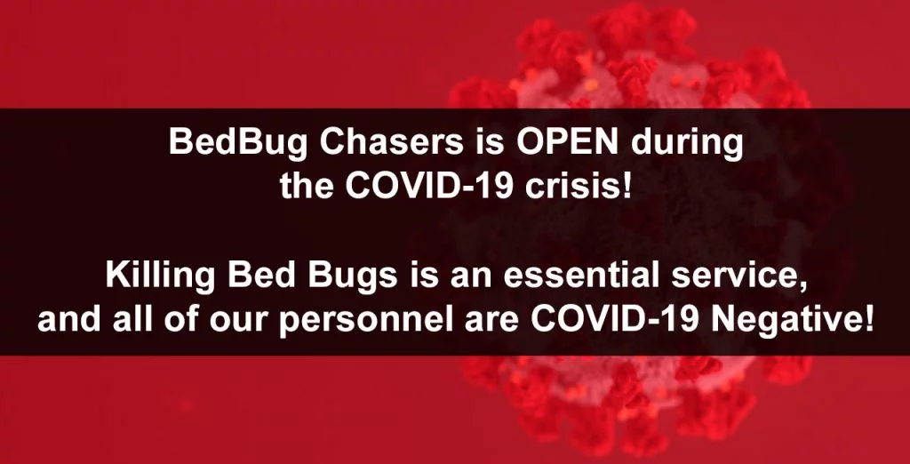 COVID-19 Thorofare NJ, Coronavirus Thorofare NJ, Non-toxic Bed Bug treatment Thorofare NJ, bugs in bed Thorofare NJ, kill Bed Bugs Thorofare NJ