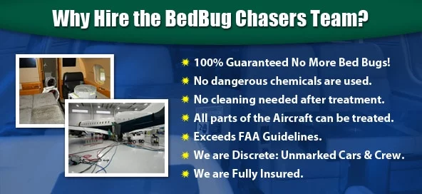 Bed Bug bites Hillsborough NJ, Bed Bug spray Hillsborough NJ, hypoallergenic Bed Bug treatments Hillsborough NJ