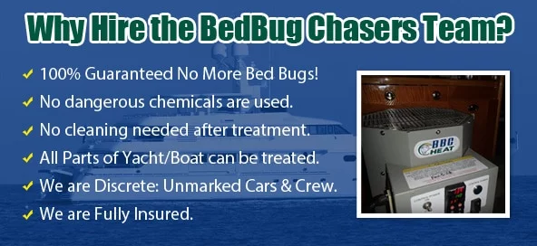 NJ Bed Bug Exterminator , Bed Bug Bites New Jersey , Bed Bug Bites NJ , Chemical Free Bed Bug Treatment New Jersey , Chemical Free Bed Bug Treatment NJ , Bed Bug Treatment New Jersey , Bed Bug Treatment NJ ,
